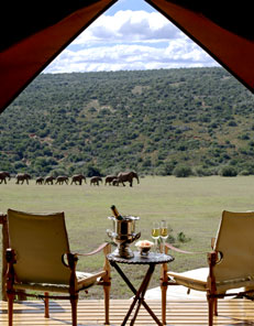 Gorah Elephant Camp Addo Elephant National Park, Eastern Cape