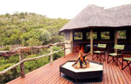 Tree Tops Lalibela Game Reserve Eastern Cape South Africa