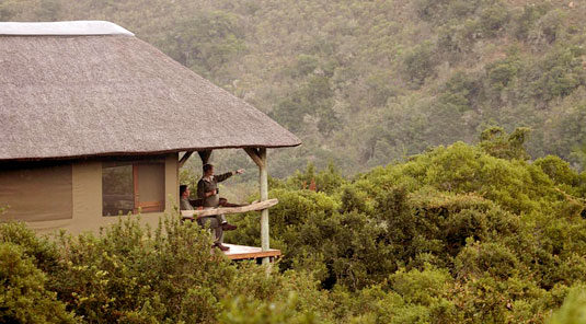 Lalibela Game Reserve Eastern Cape South Africa