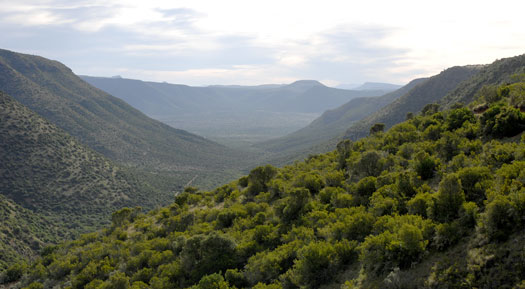 Samara Private Game Reserve - Malaria Free Great Karoo - Eastern Cape