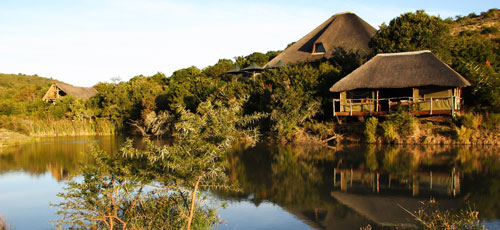 Bayethe Tented Camp - Shamwari Game Reserve