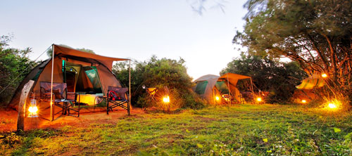 Shamwari Explorer Camp - Shamwari Game Reserve