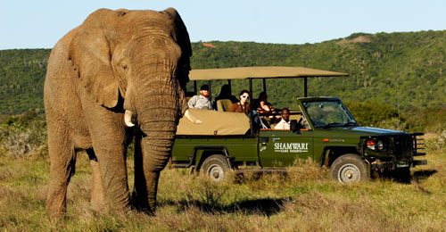 Shamwari Game Reserve