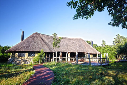 Forest Camp - Sibuya Game Reserve