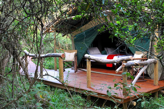 Forest Camp - Sibuya Game Reserve