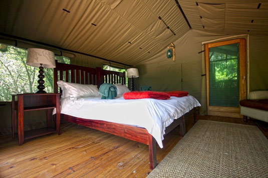 Forest Camp - Sibuya Game Reserve