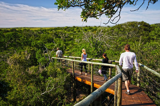 Guided Walks - Sibuya Game Reserve